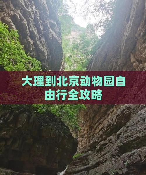 大理去北京动物园自由行