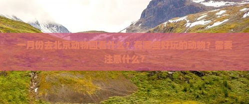 一月到北京动物园哪里玩