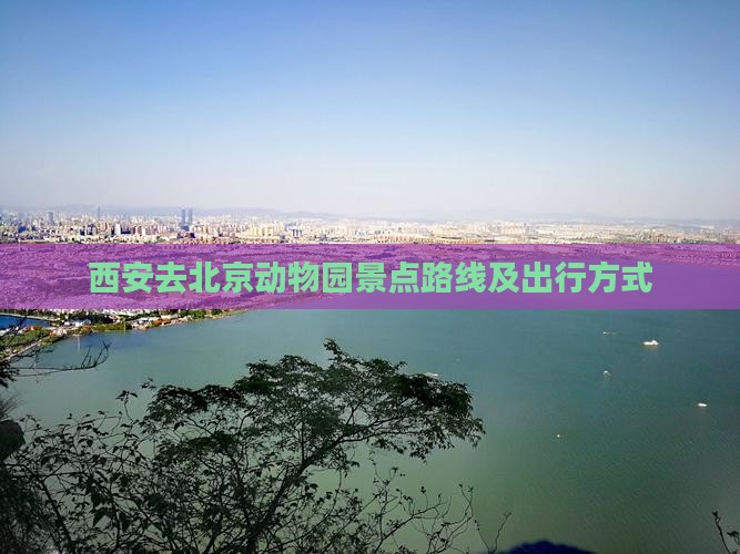 西安去北京动物园景点