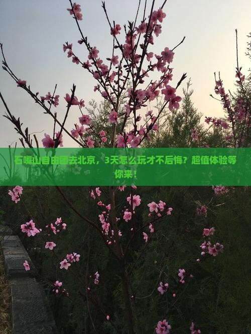 石嘴山去北京自由团