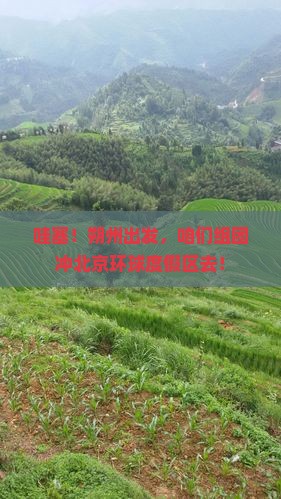 朔州到北京环球度假区团体旅游