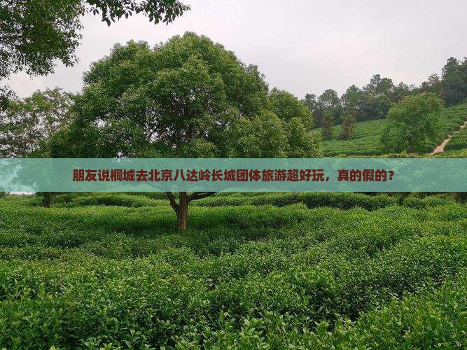 桐城去北京八达岭长城团体旅游