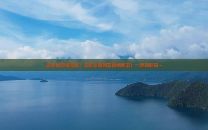 五家渠去北京动物园自由团