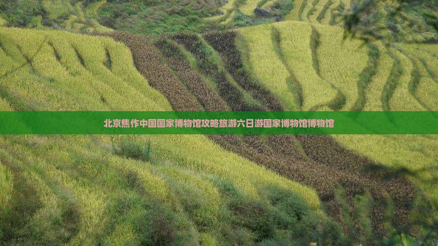 焦作去北京中国国家博物馆六日游