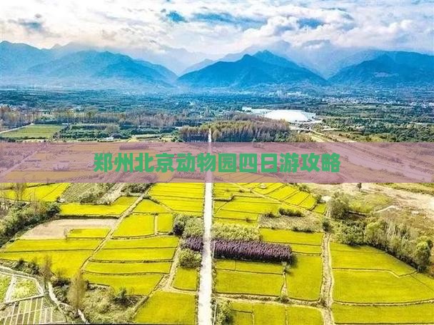 郑州去北京动物园四日游