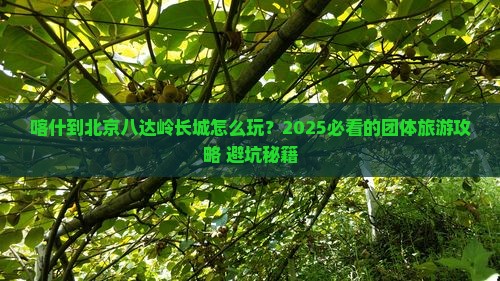 喀什到北京八达岭长城团体旅游