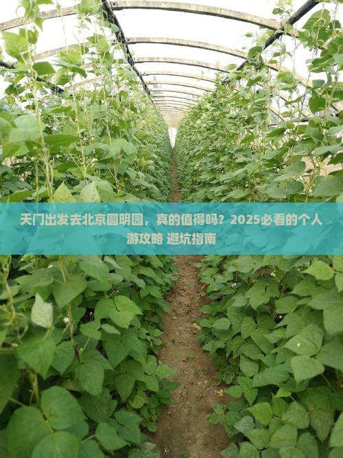 天门去北京圆明园遗址公园个人游 天门去北京圆明园遗址公园个人游
