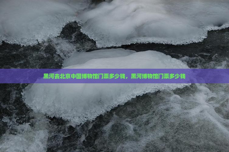 黑河去北京中国国家博物馆门票
