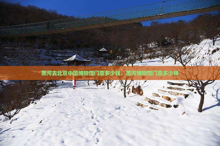 黑河去北京中国国家博物馆门票