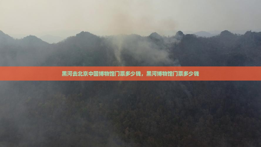 黑河去北京中国国家博物馆门票