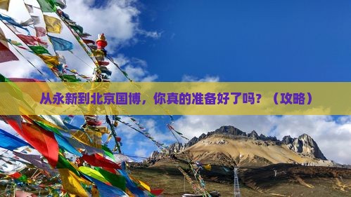 永新到北京中国国家博物馆个人游