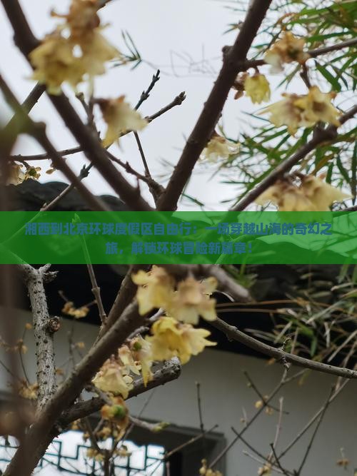 湘西到北京环球度假区自由行