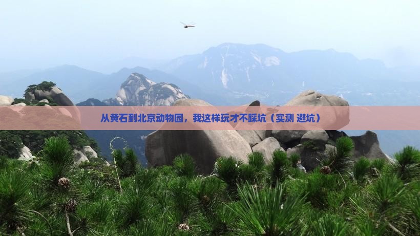 黄石到北京动物园个人游