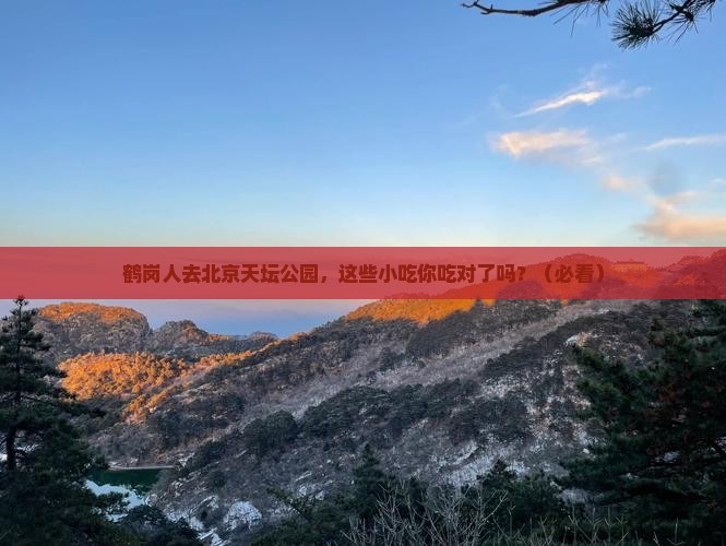 鹤岗去北京天坛公园旅游小吃