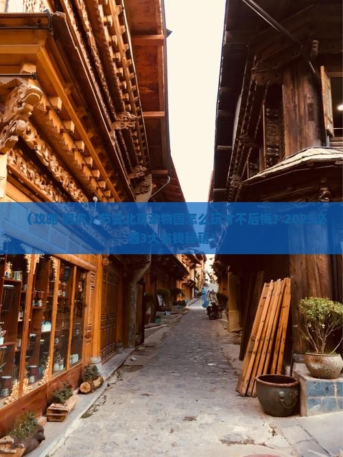 中秋节去北京动物园旅游