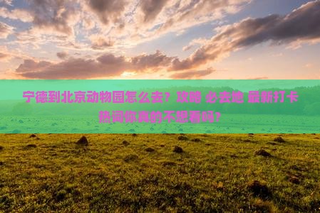 宁德到北京动物园必去地