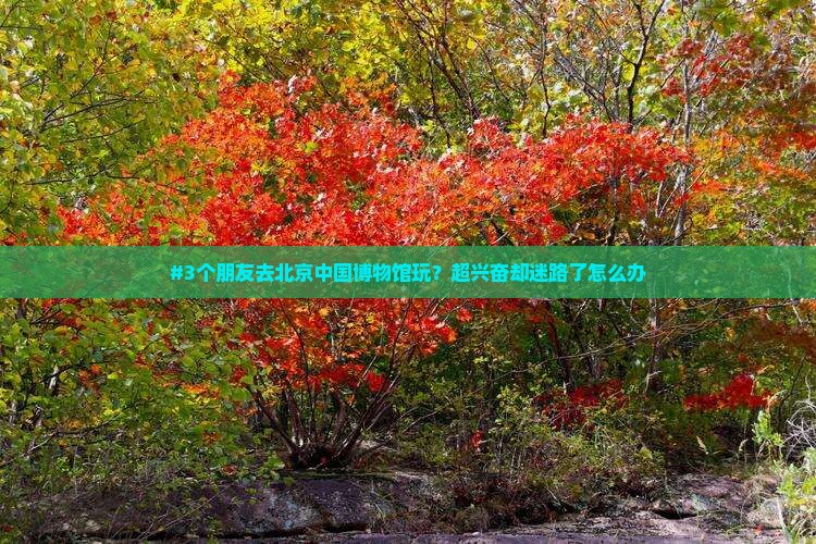 #3个朋友去北京中国博物馆玩？超兴奋却迷路了怎么办
