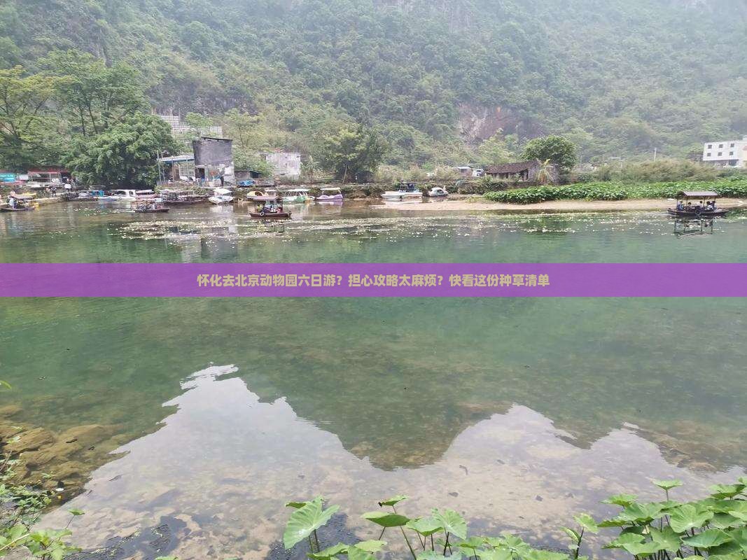 怀化去北京动物园六日游？担心攻略太麻烦？快看这份种草清单