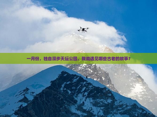 一月份，独自漫步天坛公园，我能遇见哪些古老的故事？