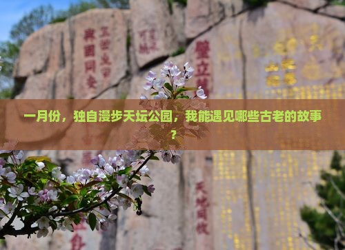一月份，独自漫步天坛公园，我能遇见哪些古老的故事？