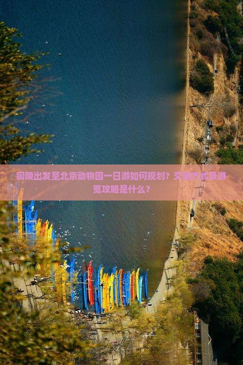铜陵出发至北京动物园一日游如何规划？交通方式及游览攻略是什么？