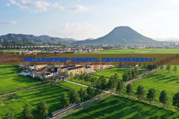 铜陵出发至北京动物园一日游如何规划？交通方式及游览攻略是什么？