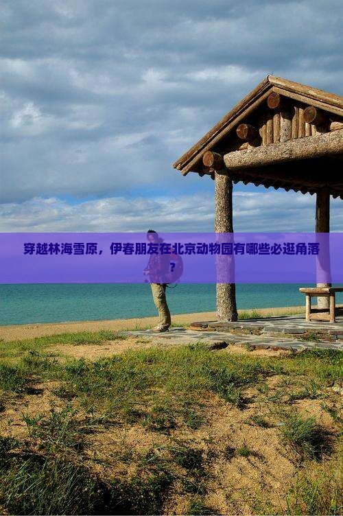 穿越林海雪原，伊春朋友在北京动物园有哪些必逛角落？