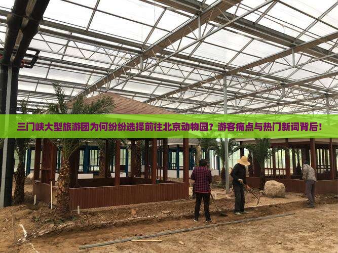 三门峡大型旅游团为何纷纷选择前往北京动物园？游客痛点与热门新词背后！