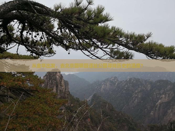 从金华出发，去北京圆明园遗址公园寻找历史的温度？