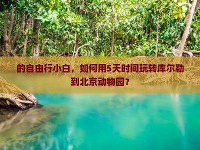 的自由行小白，如何用5天时间玩转库尔勒到北京动物园？