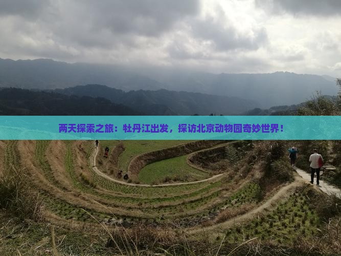 两天探索之旅：牡丹江出发，探访北京动物园奇妙世界！