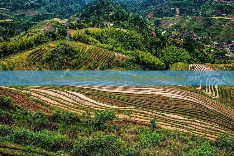 #30人平顶山团去北京动物园玩，交通住宿咋安排才省心？