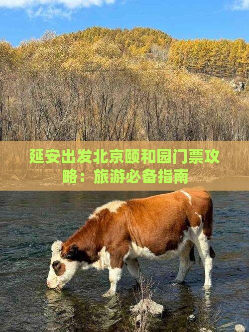 延安出发北京颐和园门票攻略：旅游必备指南