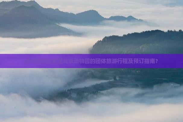 如何规划甘南至北京动物园的团体旅游行程及预订指南？