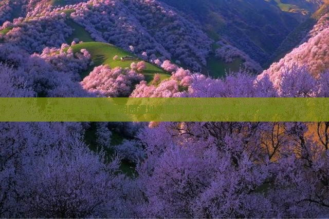 日照出发至北京圆明园遗址公园深度二日游攻略与交通指南
