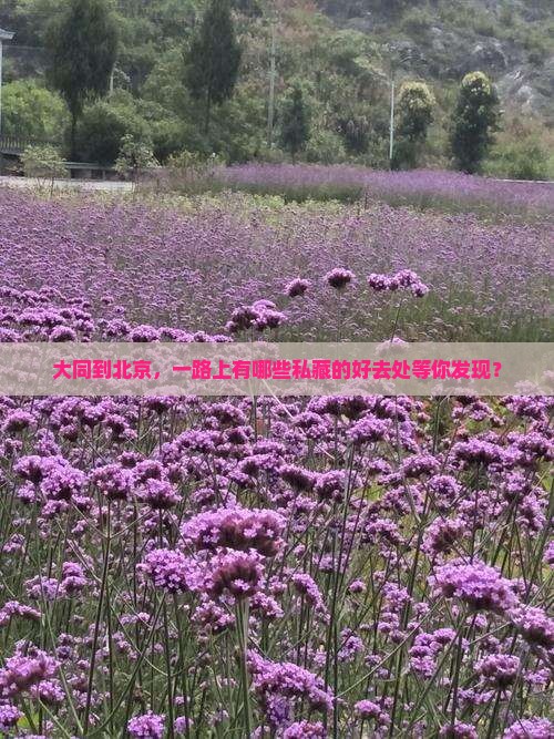 大同到北京，一路上有哪些私藏的好去处等你发现？