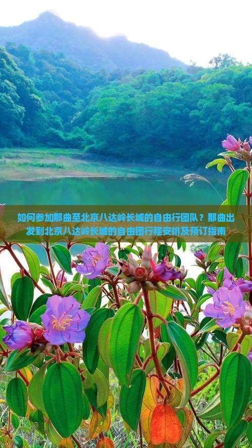 如何参加那曲至北京八达岭长城的自由行团队？那曲出发到北京八达岭长城的自由团行程安排及预订指南