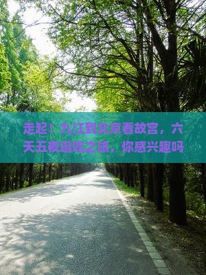 九江去北京故宫博物院六日游 九江去北京故宫博物院六日游