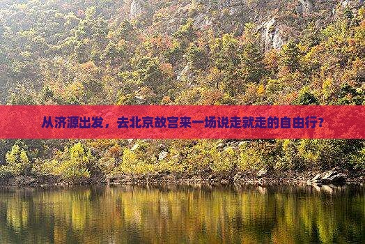 济源去北京故宫博物院自由团