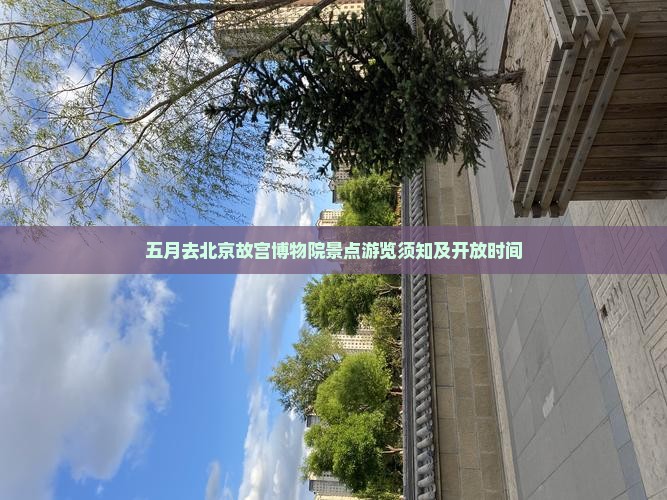 五月去北京故宫博物院景点