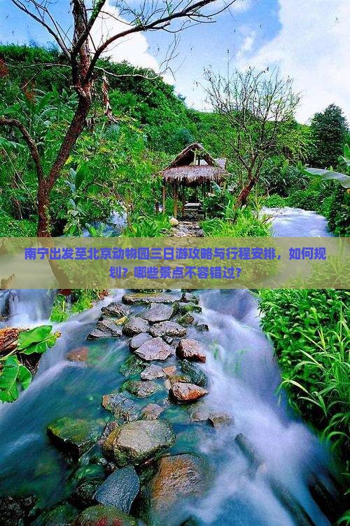 南宁到北京动物园三日游