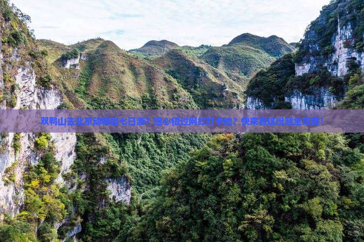双鸭山去北京动物园七日游 双鸭山去北京动物园七日游