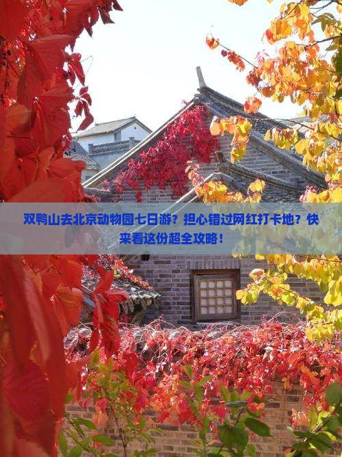 双鸭山去北京动物园七日游 双鸭山去北京动物园七日游