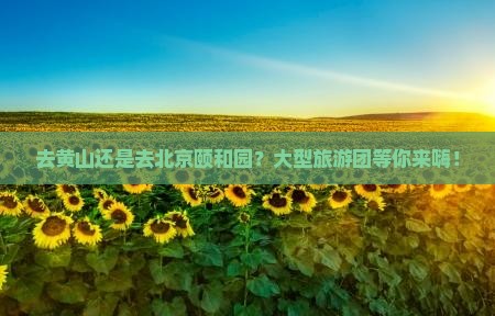 黄山去北京颐和园大型旅游团