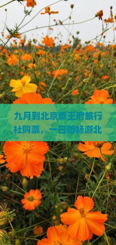 九月到北京恭王府旅行社