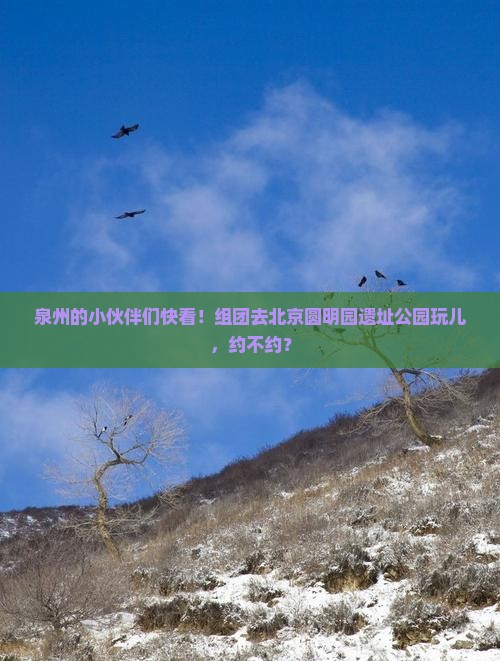 泉州去北京圆明园遗址公园大型旅游团