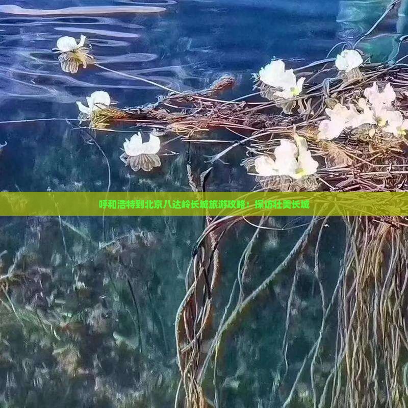 呼和浩特去北京八达岭长城团体旅游