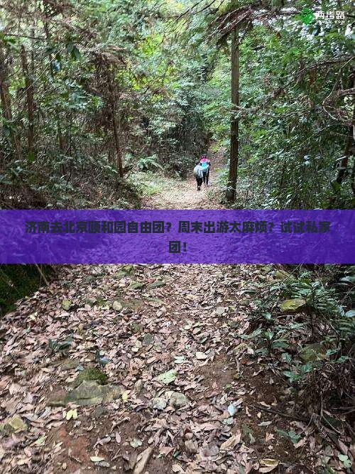 济南去北京颐和园自由团