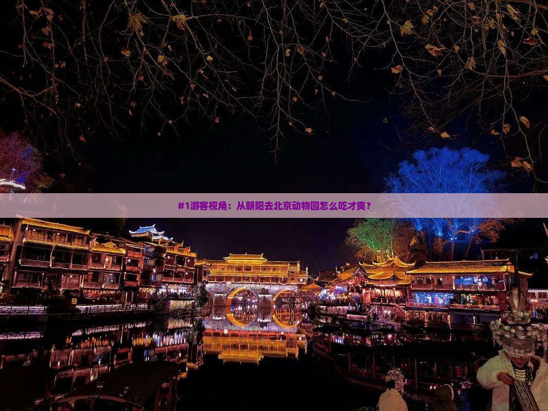朝阳到北京动物园旅游小吃