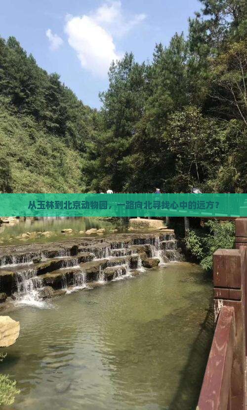 玉林到北京动物园景点 玉林到北京动物园景点